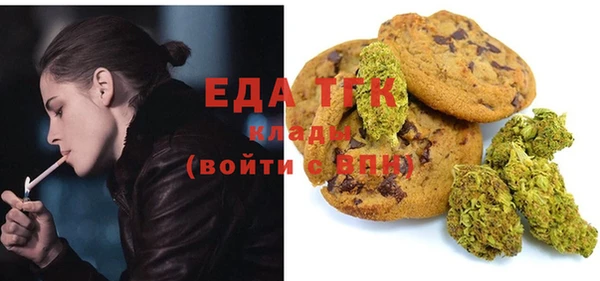 ПСИЛОЦИБИНОВЫЕ ГРИБЫ Вязники